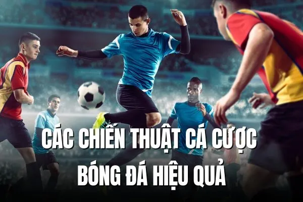 Các chiến thuật cá cược bóng đá hiệu quả