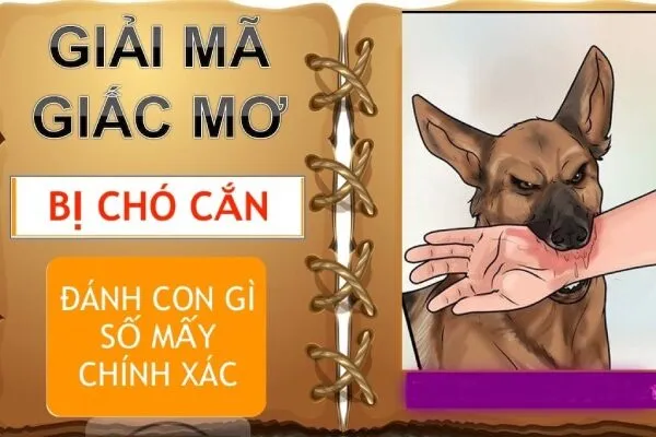 Mơ thấy chó cắn